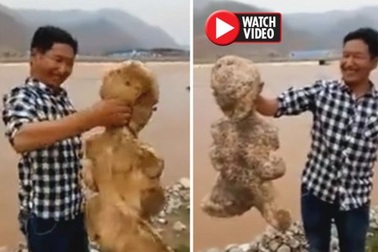 Sinh vật biển bí ẩn có răng mọc trên đuôi