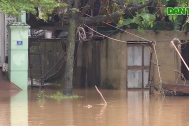 Quảng Bình: Lũ cuốn trôi cầu phao, hơn 3.000m đê bị sạt lở