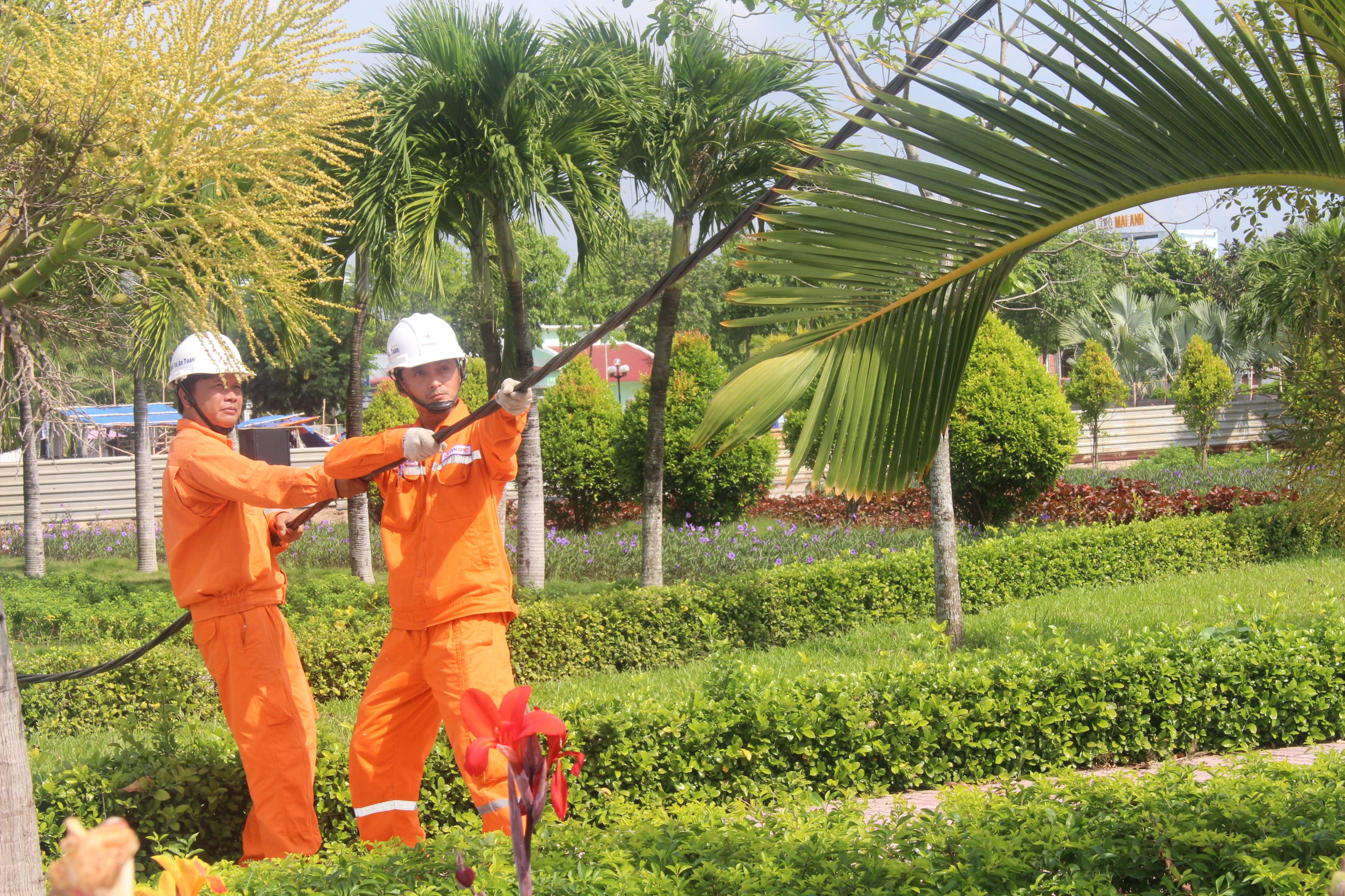 Đảm bảo cấp điện cho lễ hội