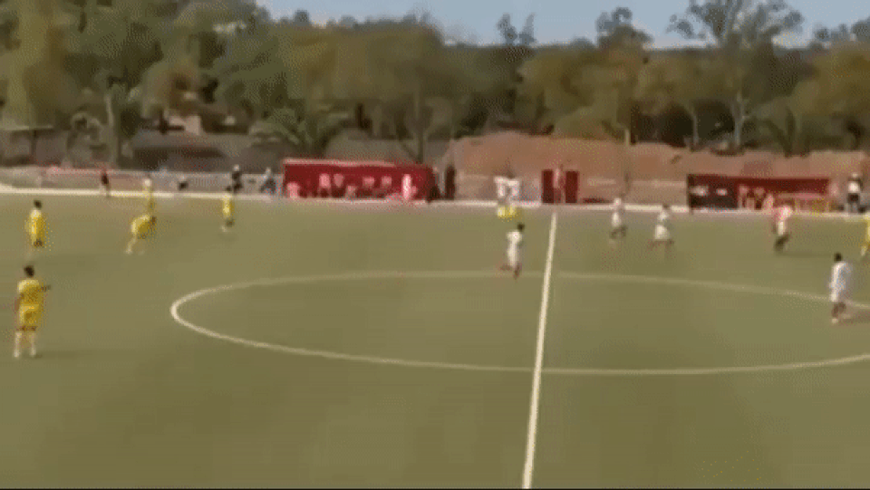 Bàng hoàng chứng kiến cầu thủ qua đời ngay trên sân cỏ - 1