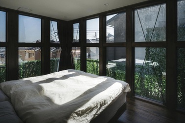 Gia chủ đập tường, tạo mảng xanh cao 6m như tấm rèm giúp cả nhà mát mẻ