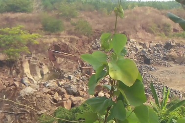 Cận cảnh "đá tặc" hoạt động ngang nhiên...Chính quyền xã không biết