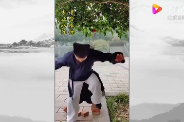 Trần Sư Hành chặt gạch bằng chân thành công