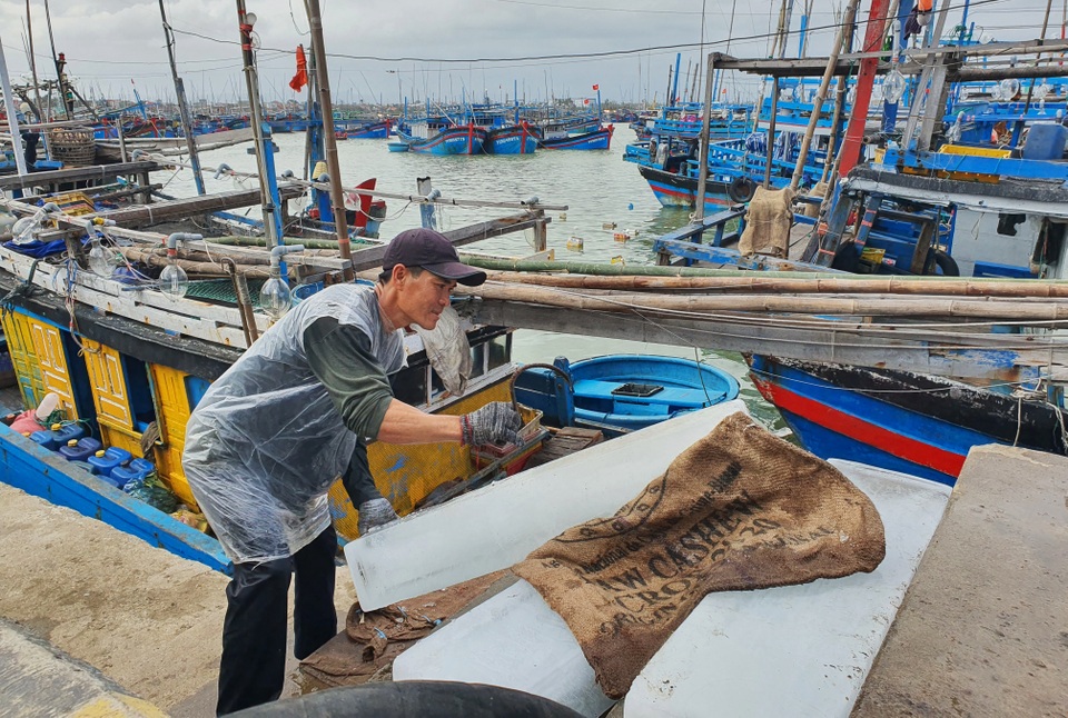 Hàng trăm ngư dân Phú Yên vươn khơi đón Tết trên biển - 1 Hàng trăm ngư dân Phú Yên vươn khơi đón Tết trên biển - 1