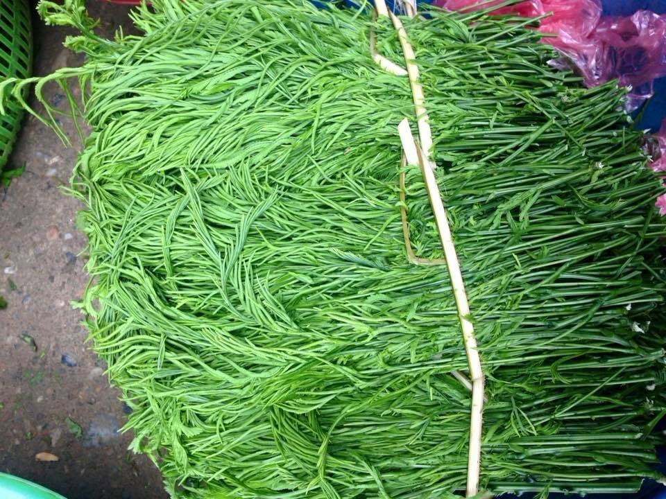 Đứng cách cả mét còn ngửi thấy mùi hôi, loại rau này lại đắt khách - 1 Đứng cách cả mét còn ngửi thấy mùi hôi, loại rau này lại đắt khách - 1
