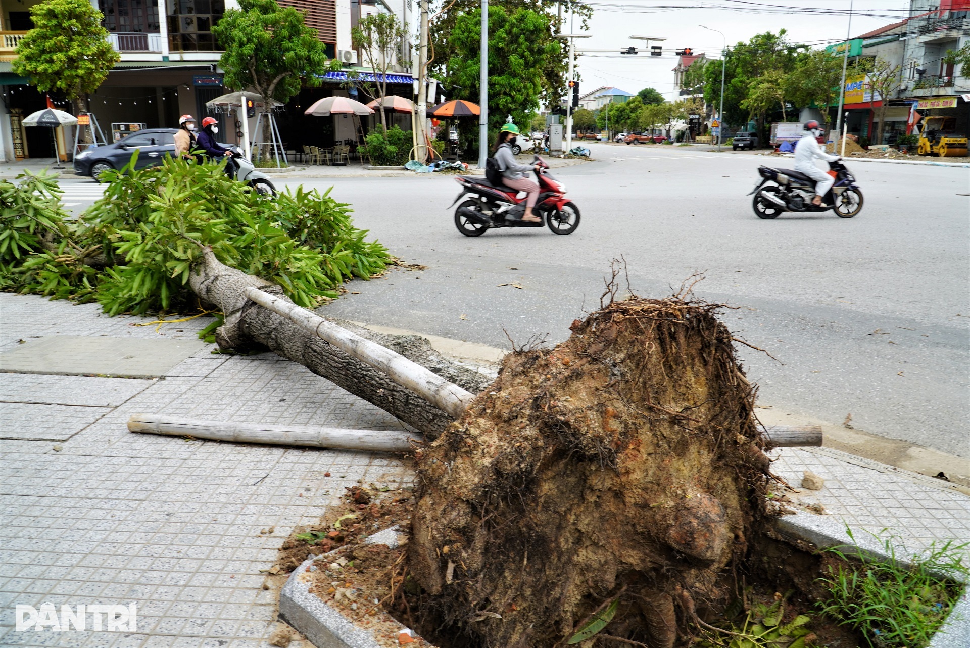 Chưa dọn dẹp hết ngổn ngang sau bão Kajiki, người dân lại lo thiên tai mới - 4