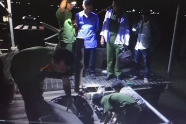 Xả thải ra sông Hậu, công ty Huy Việt - Tây Đô bị phạt gần 900 triệu đồng