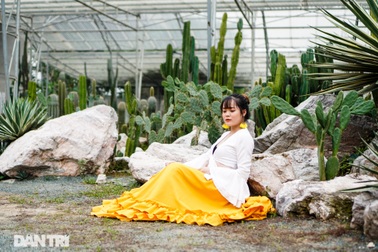 Những điểm check-in với xương rồng không thể bỏ qua ở Hà Nội