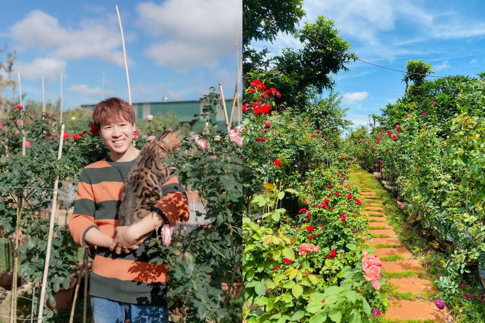 9X Đắk Lắk đánh liều bán ô tô, vay tiền thuê đất, làm vườn hồng 10.000 gốc - 1