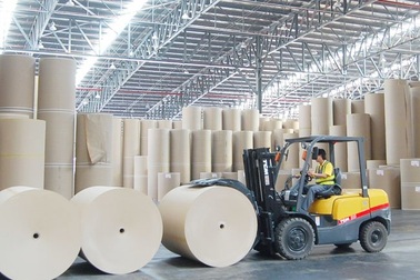 Thủ tướng yêu cầu kiểm tra  môi trường Nhà máy giấy Lee&Man