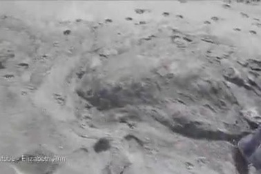 Xác quái vật kỳ lạ xuất hiện tại bờ biển New Zealand.