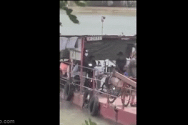 Thót tim cảnh bé trai 10 tuổi lái phà chở khách qua sông Đồng Nai