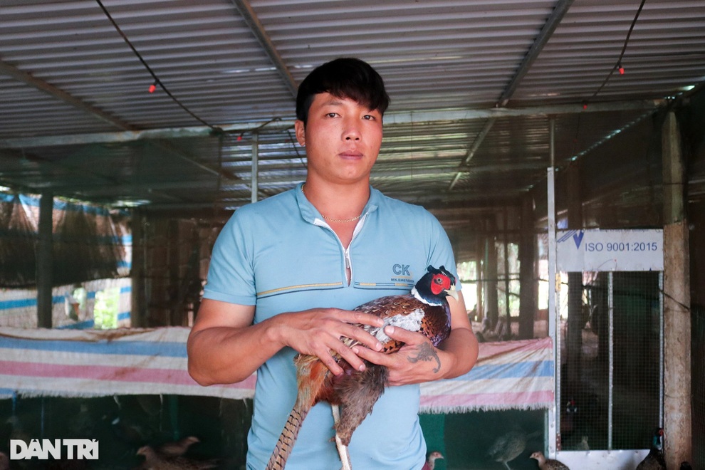 Đánh liều nuôi chim lạ, thanh niên 9X thu hàng triệu đồng mỗi tháng - 1 Đánh liều nuôi chim lạ, thanh niên 9X thu hàng triệu đồng mỗi tháng - 1