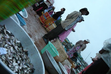 ĐBSCL: Người người ngóng… lũ