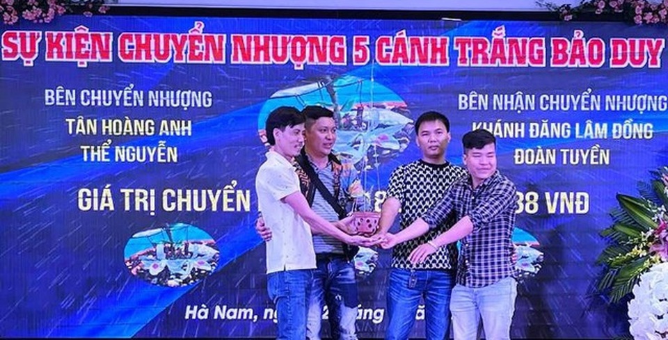 Đua nhau dốc ví mua lan đột biến tiền tỷ: Không tỉnh táo, lao vào là chết - 2 Đua nhau dốc ví mua lan đột biến tiền tỷ: Không tỉnh táo, lao vào là chết - 2