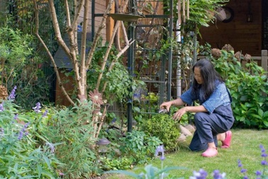 Nghỉ hưu sớm, người phụ nữ về ngoại ô sống an yên bên khu vườn trăm hoa