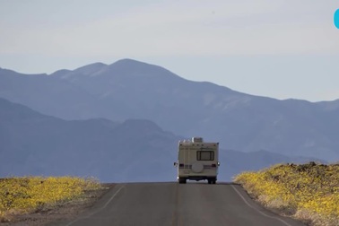 Thảm hoa dại bừng nở ở thung lũng chết