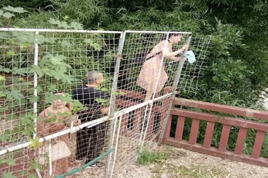 Ngỡ ngàng cảnh hàng trăm du khách Trung Quốc leo rào hái trộm hoa