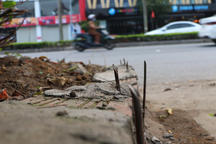 Tháo dỡ hàng chông sắt "mọc" bên quốc lộ 1A