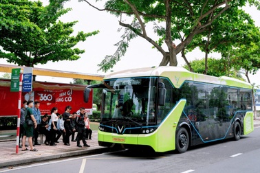 VinBus được nhiều người yêu thích
