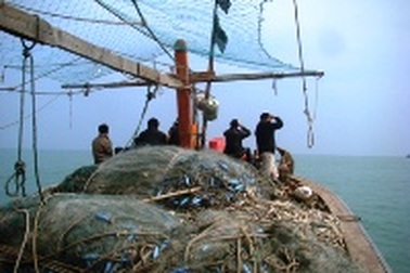 Đã nối được thông tin với 7 ngư dân "lạc" trên biển