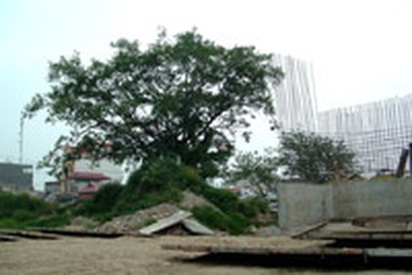 “Mếu máo” những dự án trọng điểm kỷ niệm 1.000 năm Thăng Long