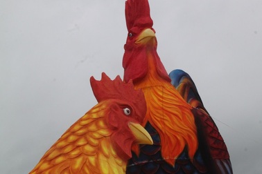 Bình Định: Người dân, du khách tò mò đi xem cặp gà “khủng” cao 5,5 mét