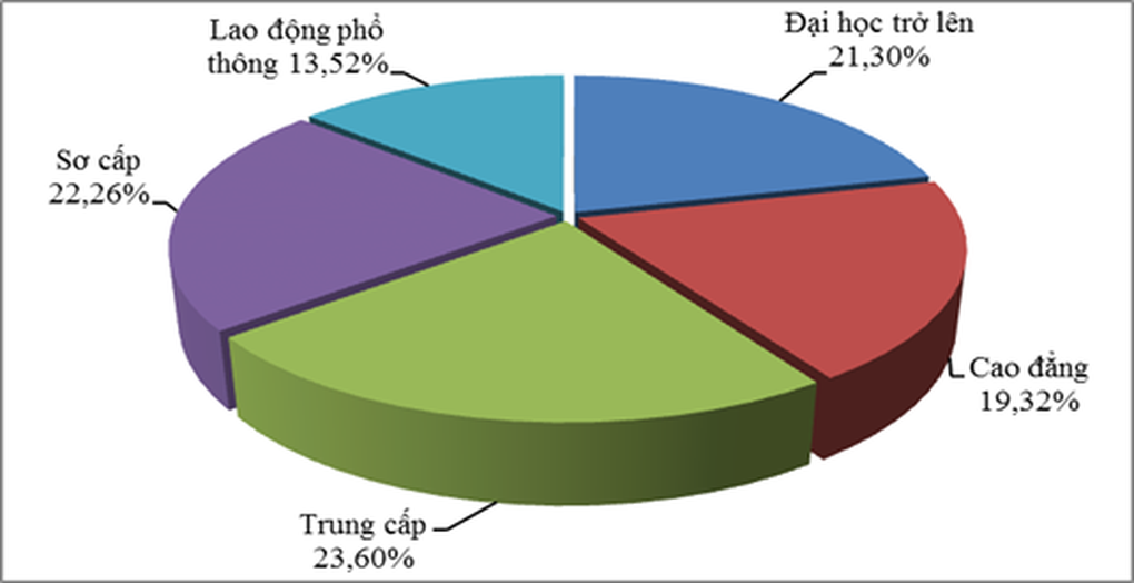 Nhân lực trình độ cao giống lao động phổ thông là... dễ mất việc - 3