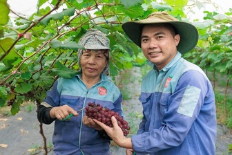 Hà Nội tập trung xây dựng nông thôn mới với nông nghiệp công nghệ cao