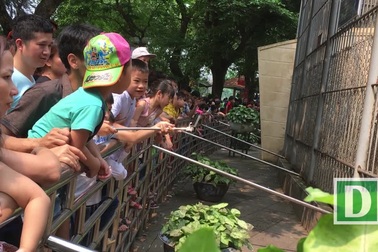 Toát mồ hôi chen nhau trong công viên Thủ Lệ dịp nghỉ lễ