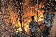 Hàng trăm cảnh sát dập vụ cháy rừng ở Bình Định