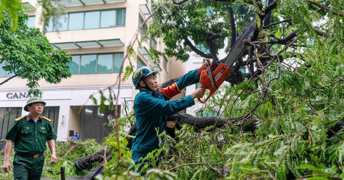 View - Hà Nội khẩn trương thu dọn cây đổ, khắc phục hậu quả sau bão | Báo Dân trí