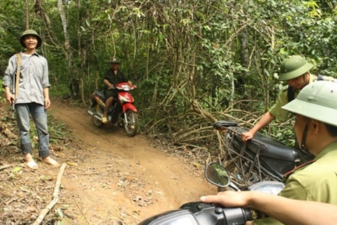 Lâm tặc đã “qua mặt” được kiểm lâm?