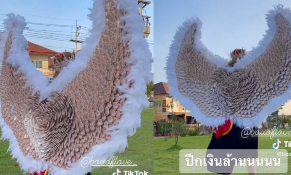 Bạn trai chi 1,3 tỷ đồng làm đôi cánh bằng tiền thật tặng người yêu - 2 Bạn trai chi 1,3 tỷ đồng làm đôi cánh bằng tiền thật tặng người yêu - 2