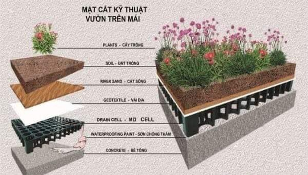 Độc đáo nhà 3 tầng không đổ sàn bê tông ở Bình Thuận, được báo Mỹ khen ngợi - 11 Độc đáo nhà 3 tầng không đổ sàn bê tông ở Bình Thuận, được báo Mỹ khen ngợi - 11