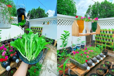 9X Tiền Giang tái chế rác thải, làm vườn rau sạch "có một không hai"