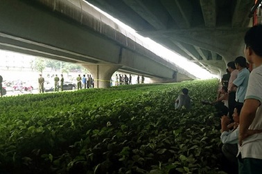 Hà Nội: Phát hiện thi thể võ sư nổi tiếng dưới hố nước