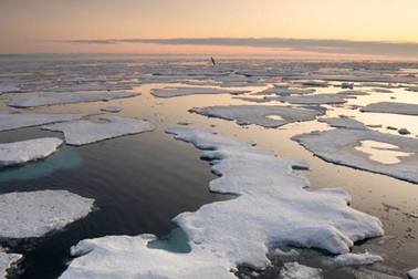 “Hóa chất vĩnh cửu” được phát hiện lần đầu tiên ở nước biển Bắc Cực