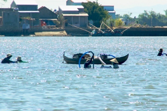 Bình Định: Mưu sinh nghề cào phễnh, vẹm ven đầm Thị Nại - 1 Bình Định: Mưu sinh nghề cào phễnh, vẹm ven đầm Thị Nại - 1