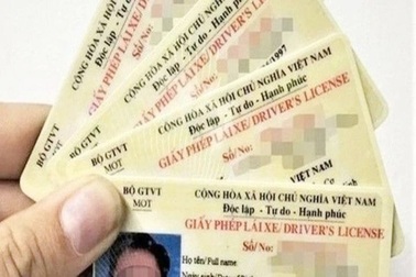 Long An nợ hơn 10.000 giấy phép lái xe vì thiếu phụ kiện in