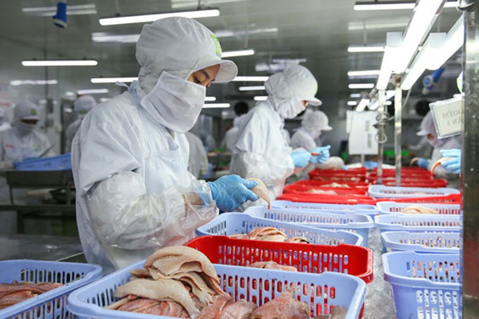 Hạn chế tổn thương cho người lao động: Biến thách thức thành cơ hội - 1 Hạn chế tổn thương cho người lao động: Biến thách thức thành cơ hội - 1