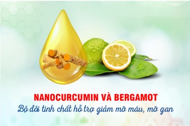 Bộ đôi tinh chất từ châu Âu hỗ trợ giảm mỡ máu, mỡ gan
