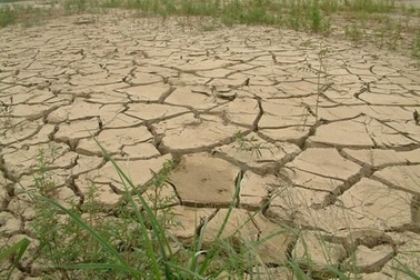 Chuyển đổi đất lúa: “Biến” khô cằn, sỏi đá thành “cơm”