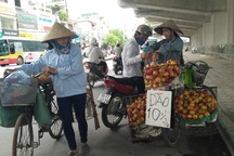 Hà Nội: Có tới 80% trái cây tại các chợ đầu mối không rõ nguồn gốc