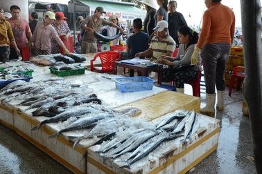 Đà Nẵng nỗ lực gỡ “thẻ vàng” cho ngành thủy sản