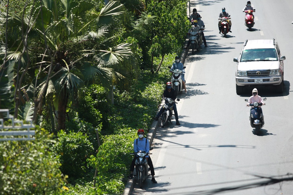 Hà Nội nắng như chảo lửa, lái xe ngụy trang cành lá lên người để giải nhiệt - 14 Hà Nội nắng như chảo lửa, lái xe ngụy trang cành lá lên người để giải nhiệt - 14