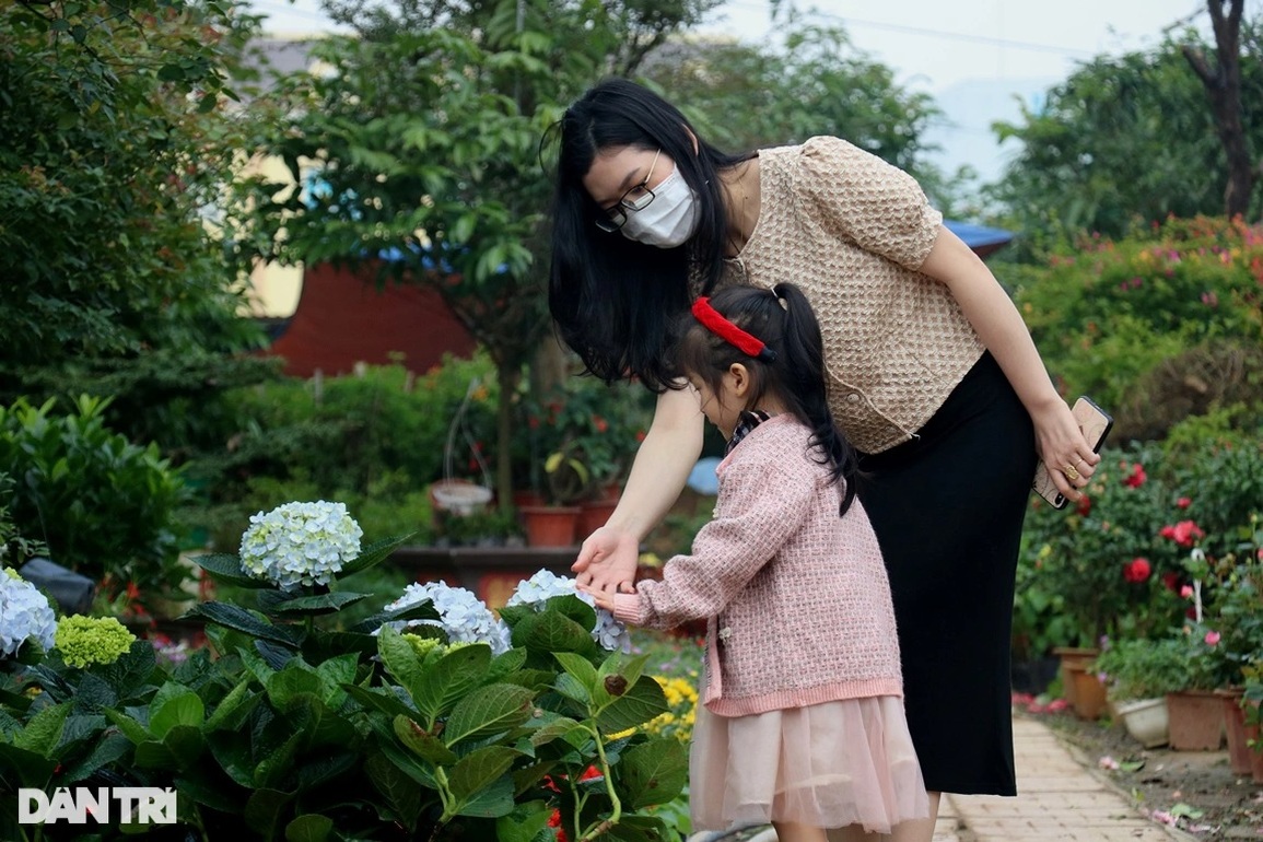 Các vườn cây cảnh chạy nước rút phục vụ dịp mua sắm sôi động nhất năm - 6 Các vườn cây cảnh chạy nước rút phục vụ dịp mua sắm sôi động nhất năm - 6
