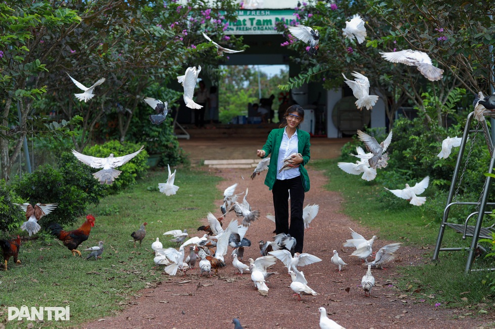 Hoa hậu 6 con Oanh Yến: Vượt cú sốc tinh thần, an yên tại nông trại 10ha - 1 Hoa hậu 6 con Oanh Yến: Vượt cú sốc tinh thần, an yên tại nông trại 10ha - 1