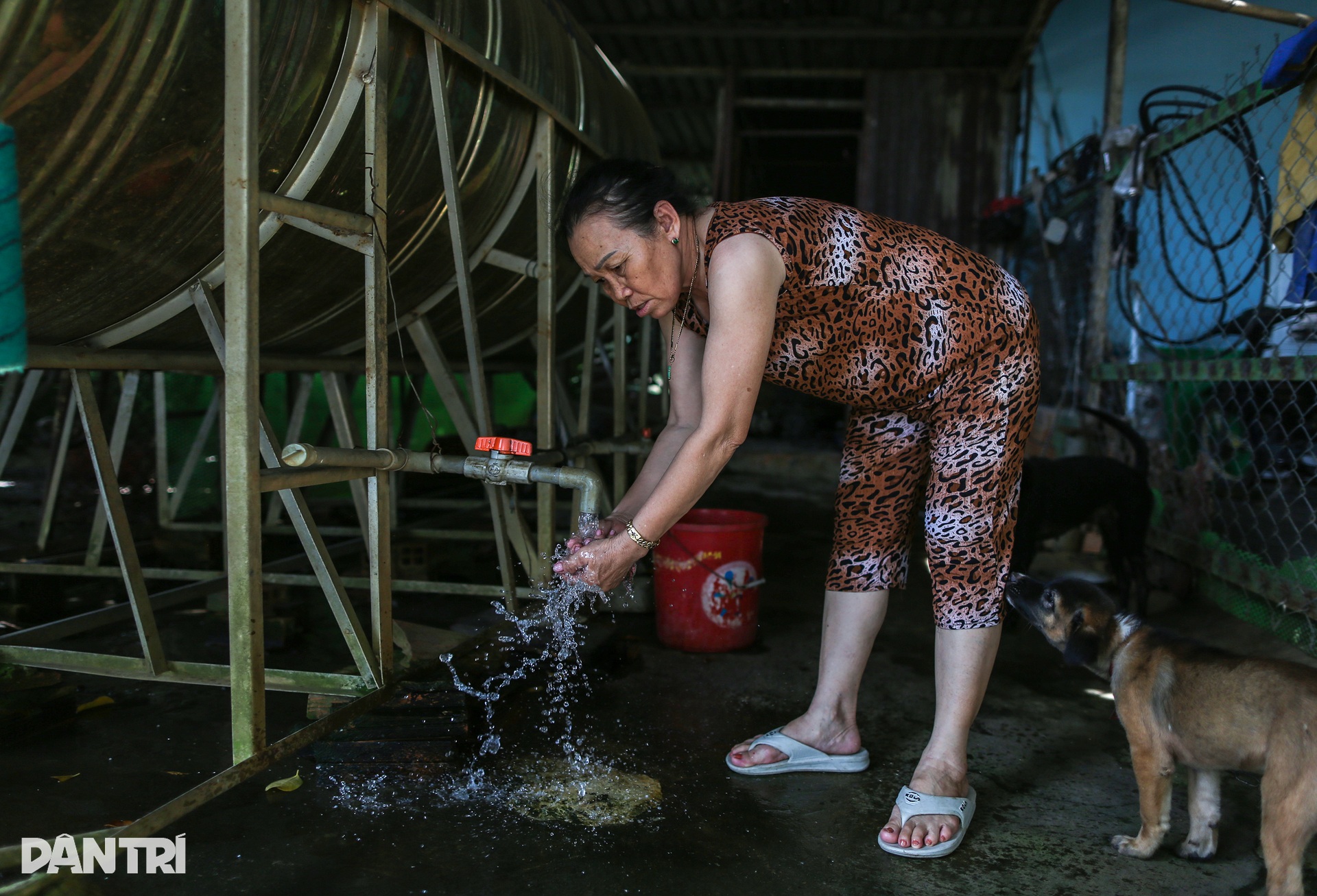 Khói mù mịt, nước bẩn bủa vây người dân quanh khu xử lý rác huyện Củ Chi - 13 Khói mù mịt, nước bẩn bủa vây người dân quanh khu xử lý rác huyện Củ Chi - 13