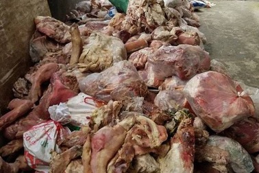 Phát hiện 15 tấn nội tạng động vật hôi thối để nuôi cá trê lai